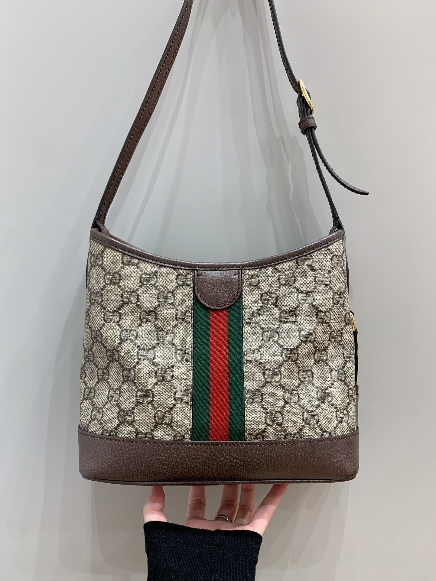Gucci Ophidia Hobo Bag