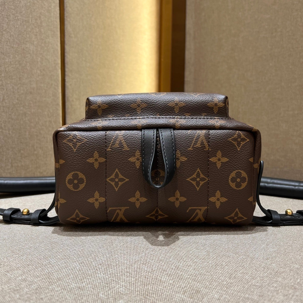 Louis Vuitton Palm Springs Small Backpack
