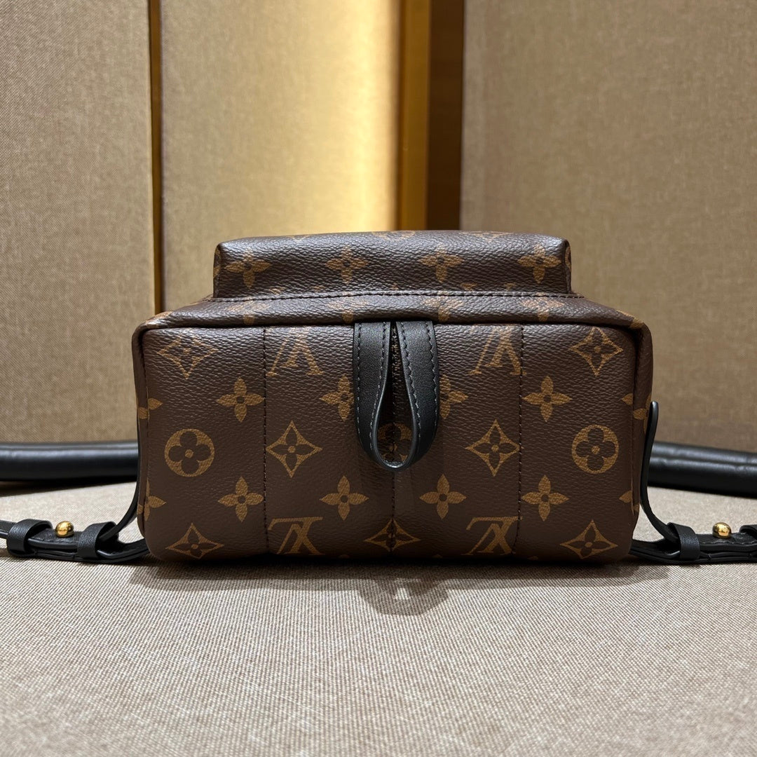 Louis Vuitton Palm Springs Small Backpack