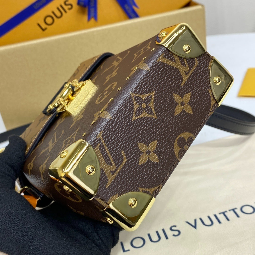Louis Vuitton Camera Box Handbag
