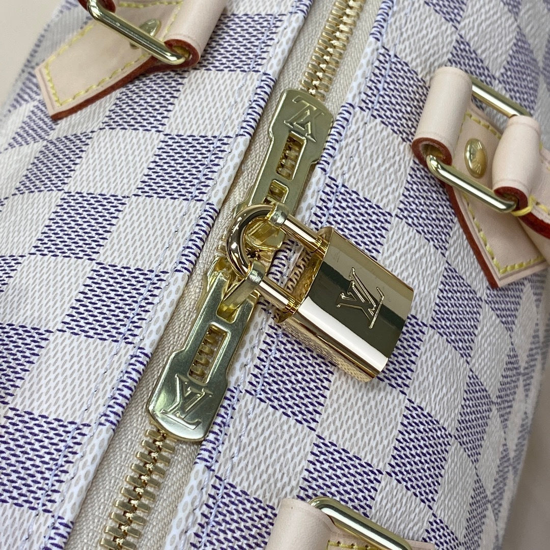 Louis Vuitton Speedy 25 Handbag