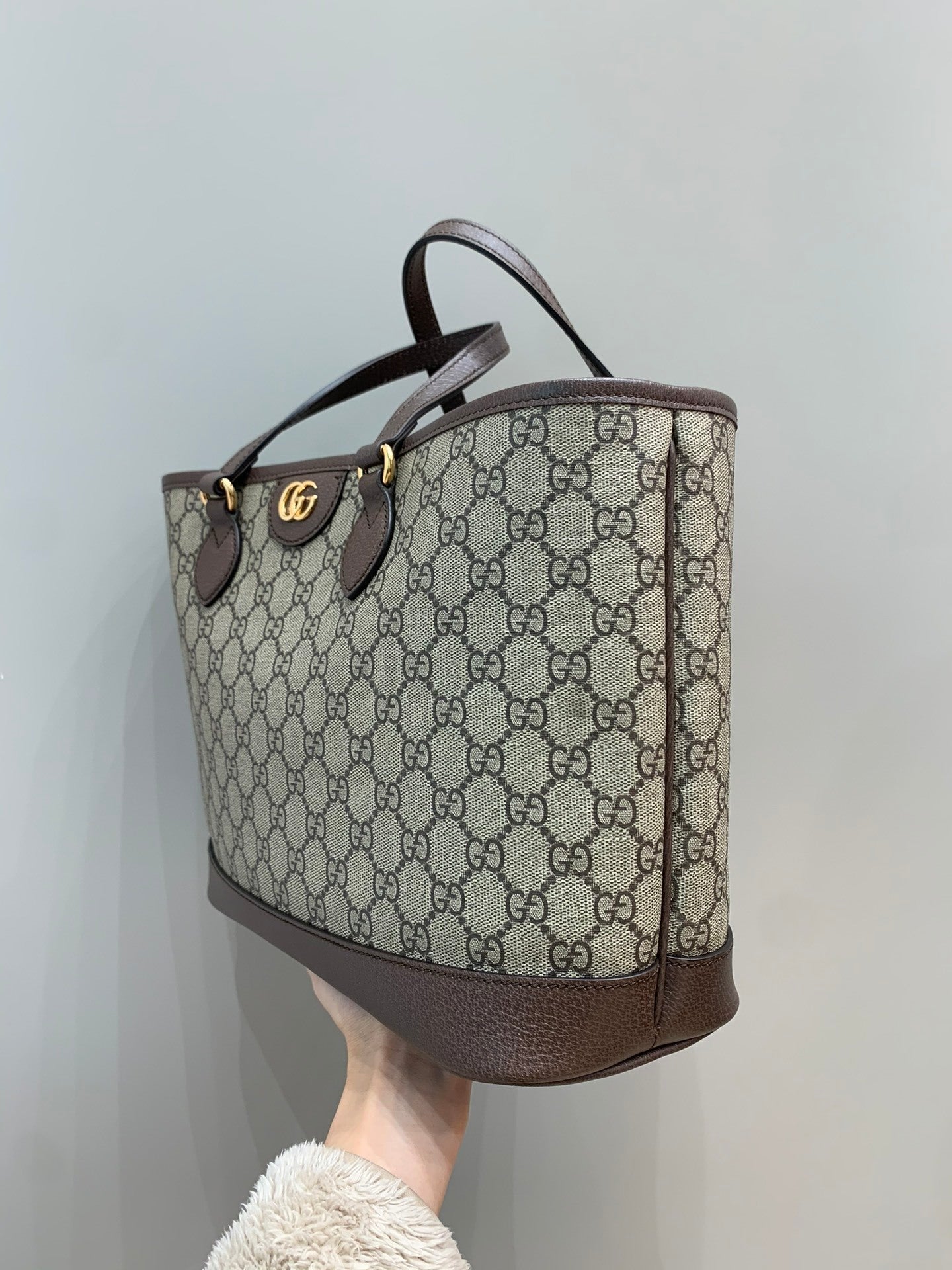 Gucci Tote Bag
