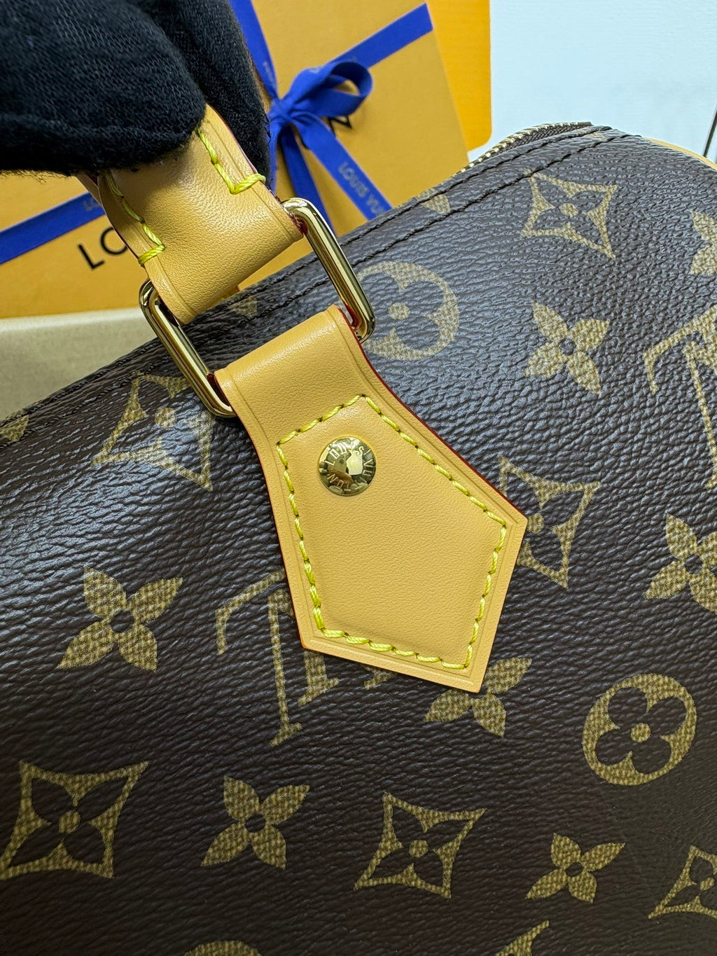 Louis Vuitton Speedy Soft 30 Crafty