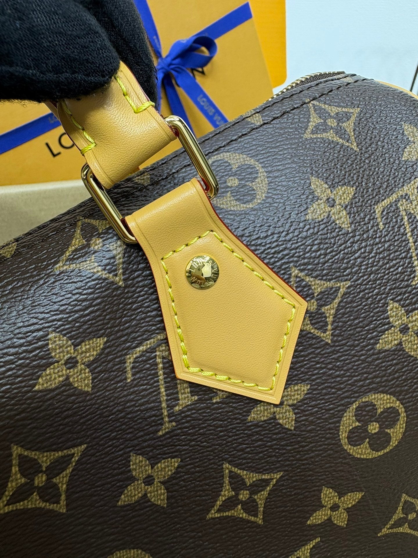 Louis Vuitton Speedy Soft 30 Crafty