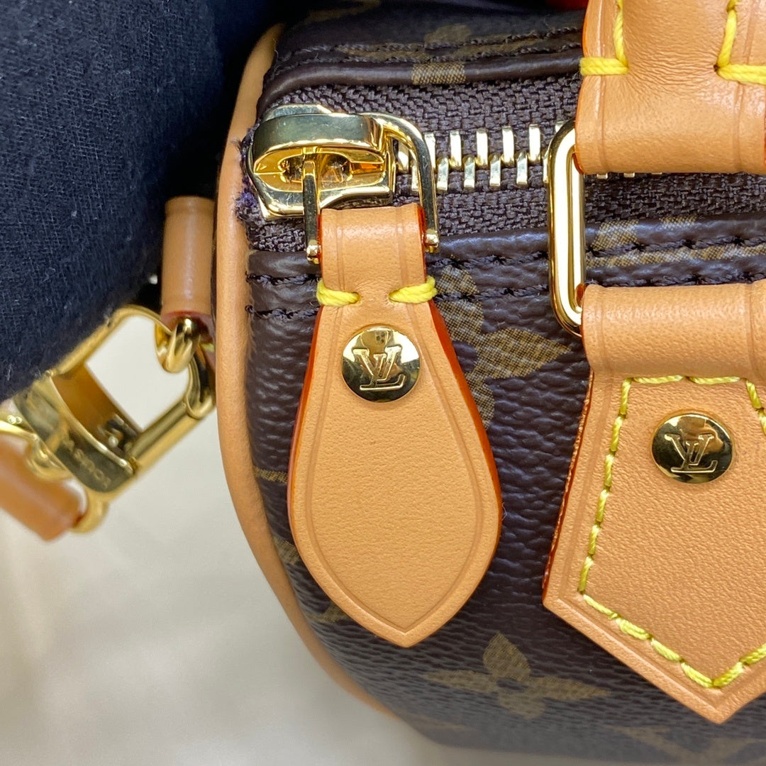 Louis Vuitton Nano Speedy Handbag