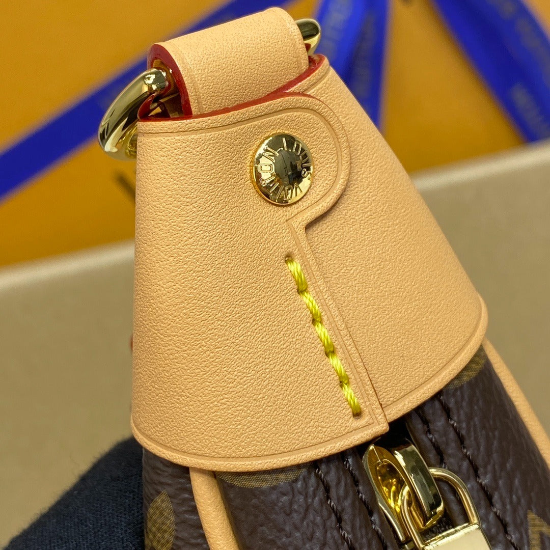 Louis Vuitton Loop Handbag