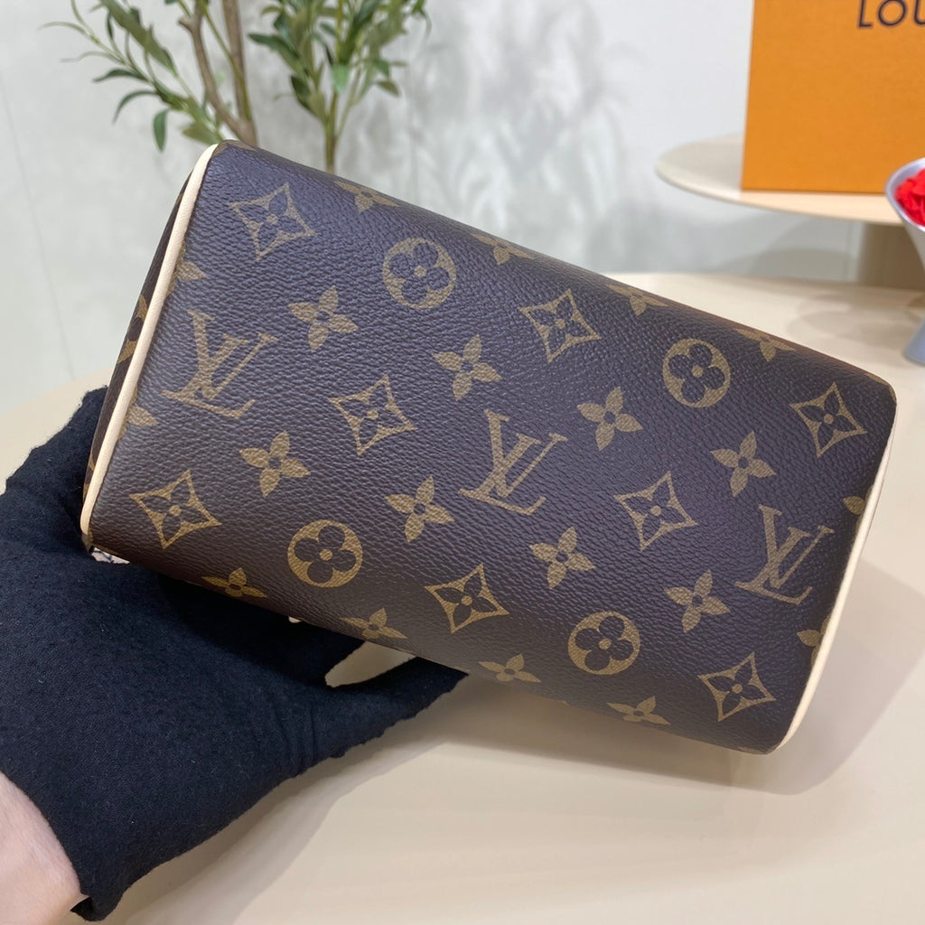 Louis Vuitton Speedy 20 Handbag