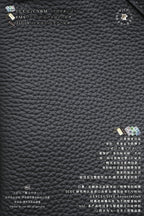 Hermès Birkin 25