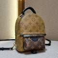Louis Vuitton Mini Backpack