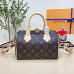 Louis Vuitton Speedy 20 Handbag
