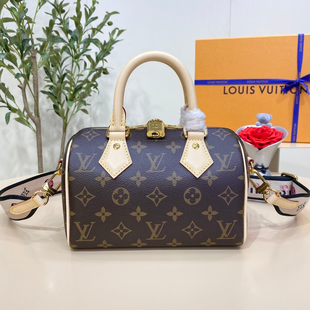 Louis Vuitton Speedy 20 Handbag