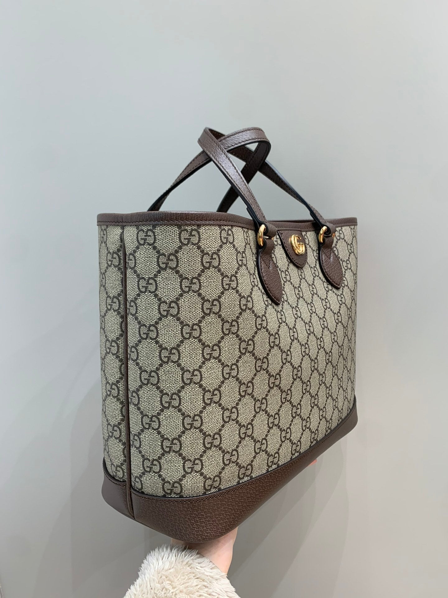 Gucci Tote Bag