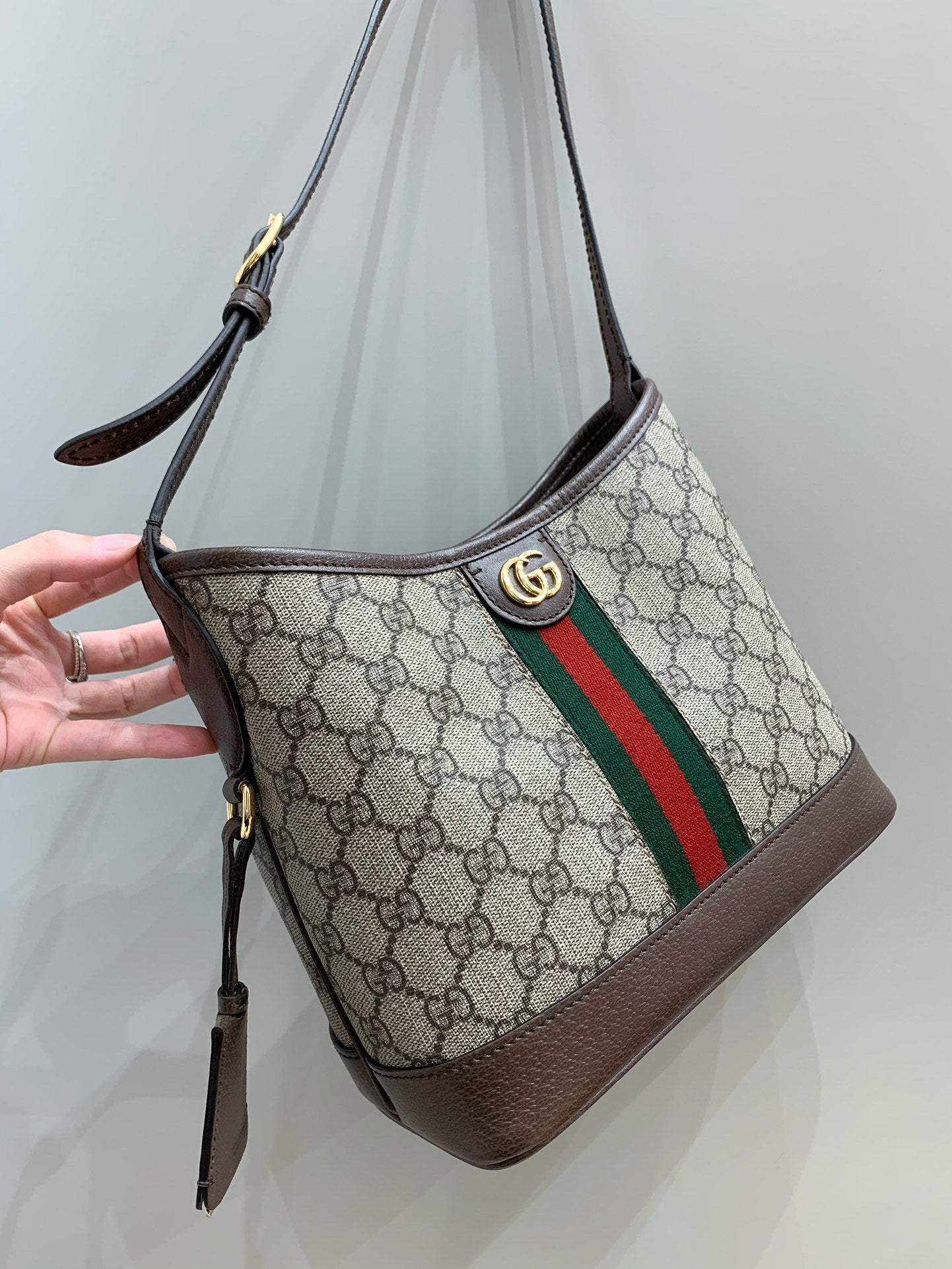 Gucci Ophidia Hobo Bag