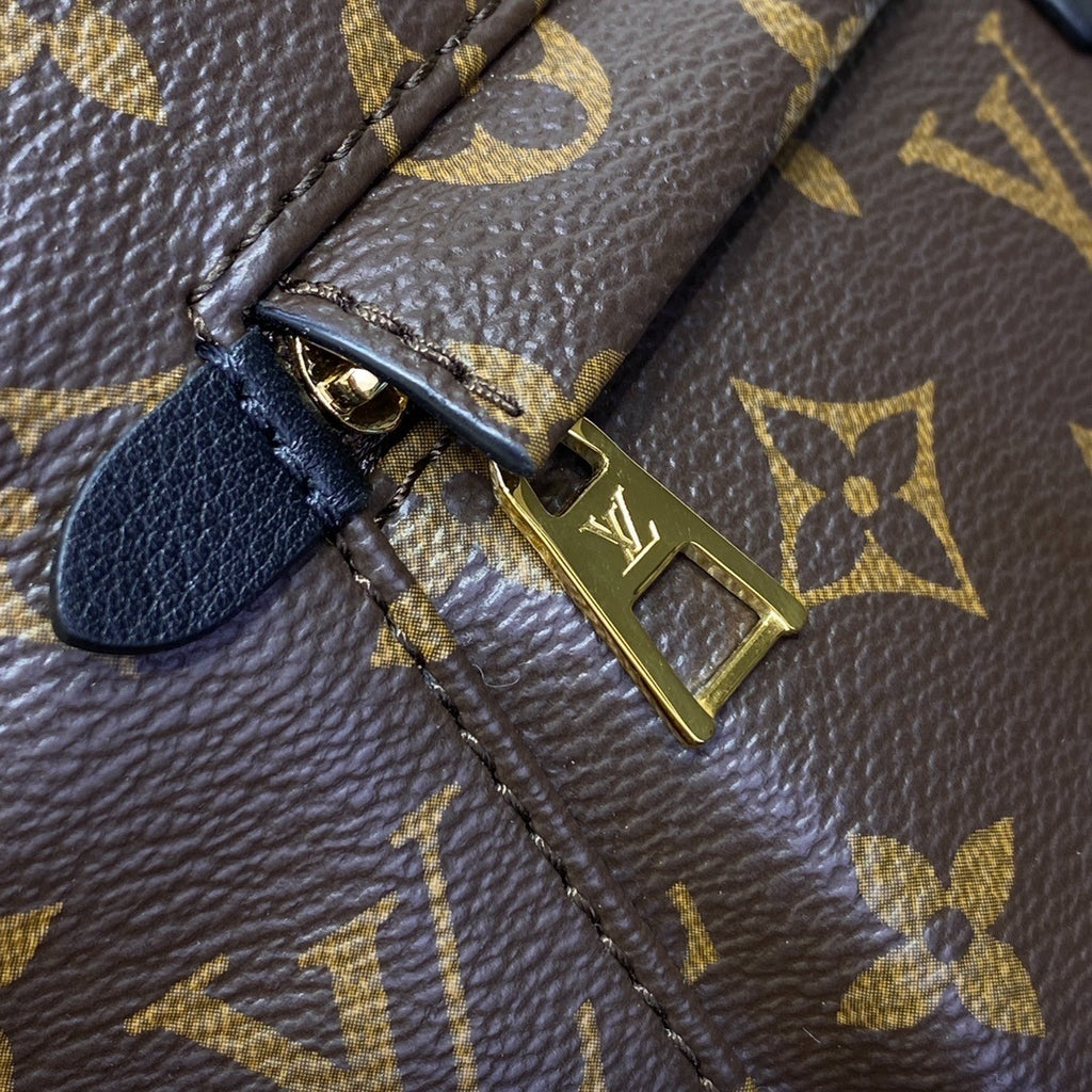 Louis Vuitton Cruise Backpack Medium