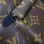 Louis Vuitton Cruise Backpack Medium