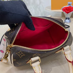Louis Vuitton Speedy 20 Handbag