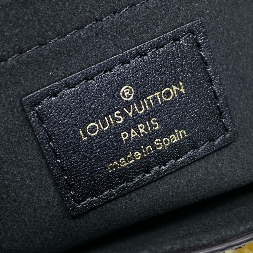 Louis Vuitton Camera Box Handbag