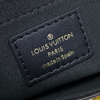 Louis Vuitton Camera Box Handbag