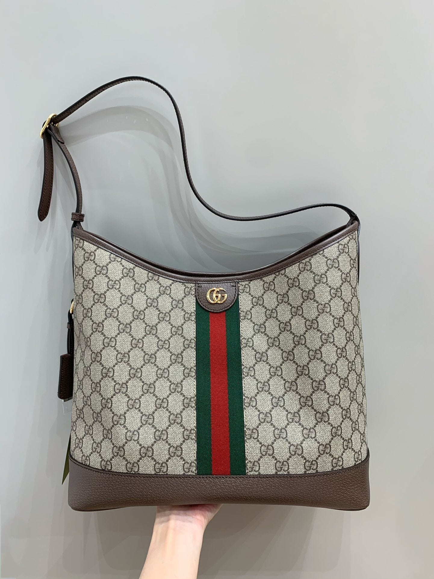 Gucci Ophidia Hobo Bag