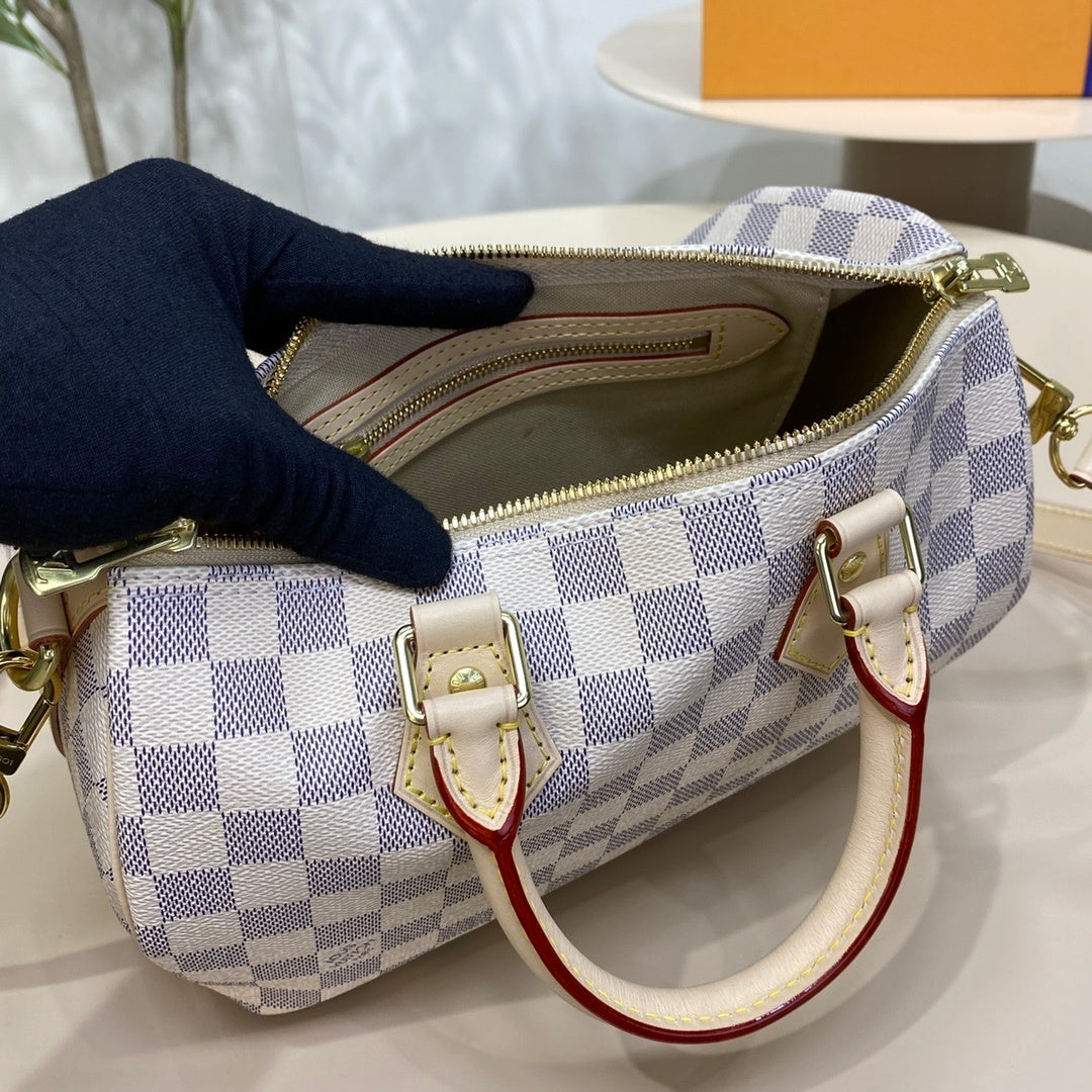 Louis Vuitton Speedy 25 Handbag