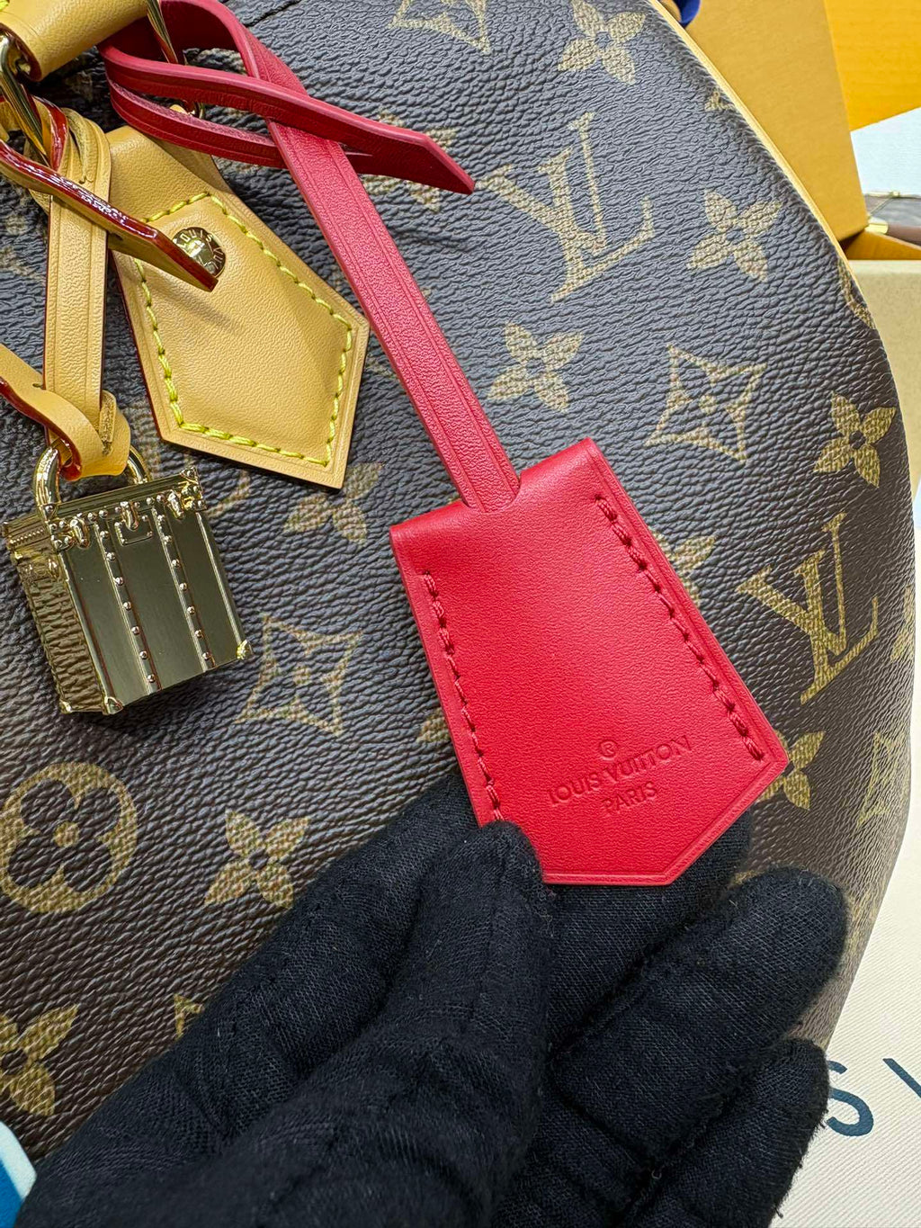 Louis Vuitton Speedy Soft 30 Crafty