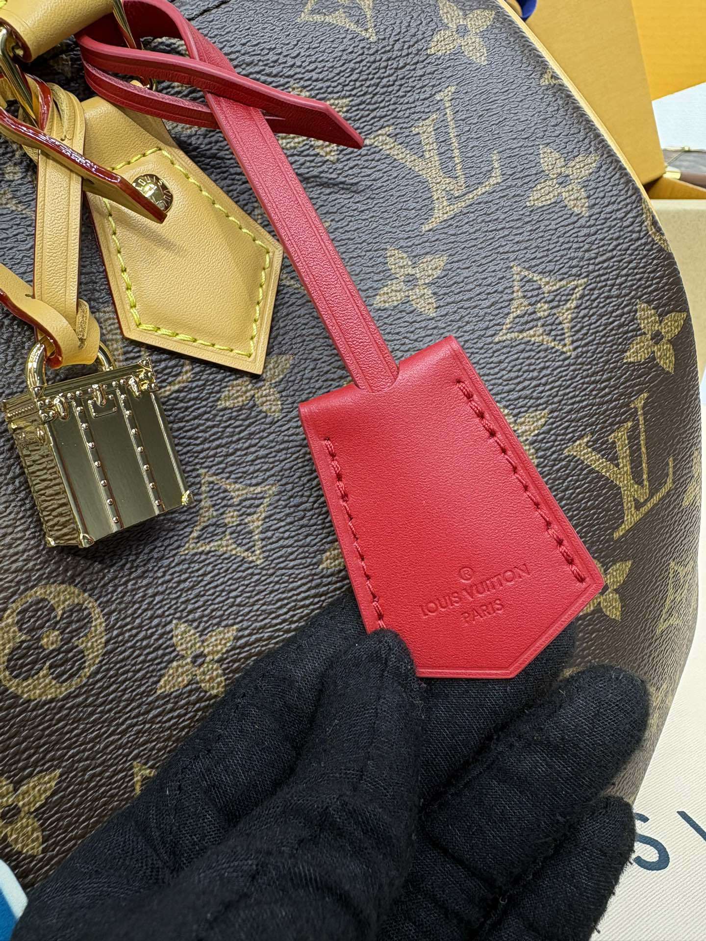 Louis Vuitton Speedy Soft 30 Crafty