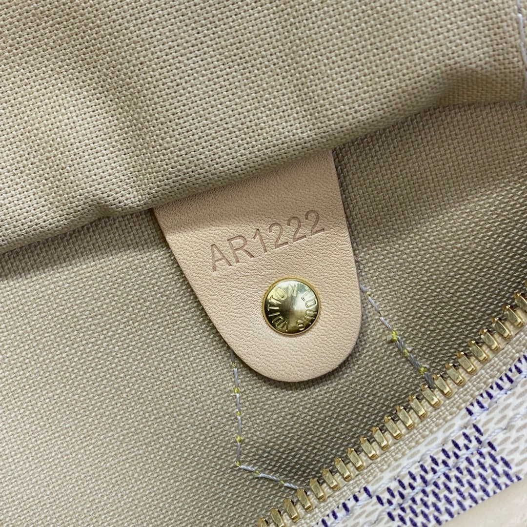 Louis Vuitton Speedy 25 Handbag