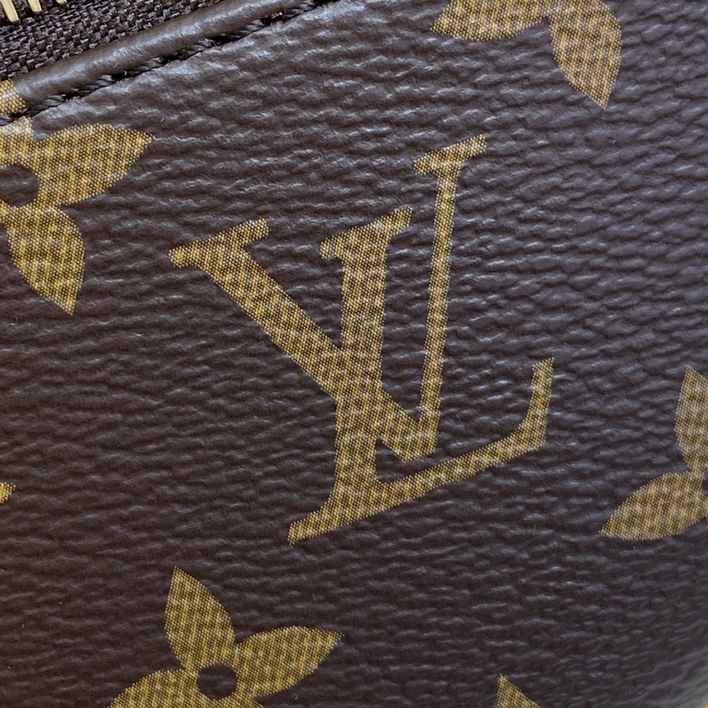 Louis Vuitton Loop Handbag