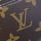 Louis Vuitton Loop Handbag