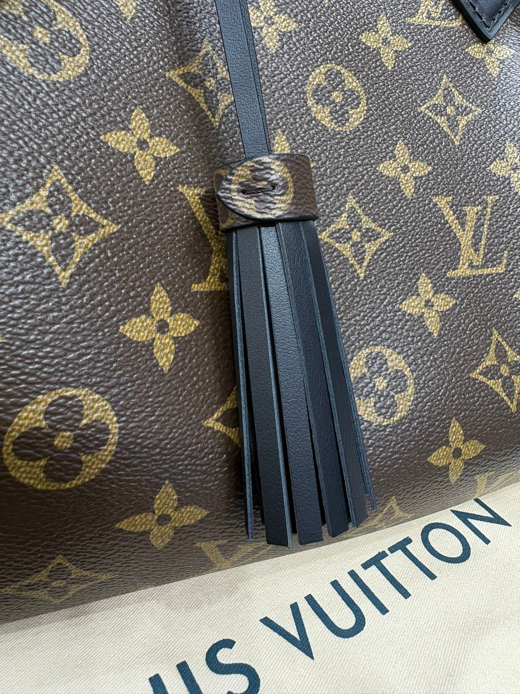 Louis Vuitton Speedy Soft 30 Dark