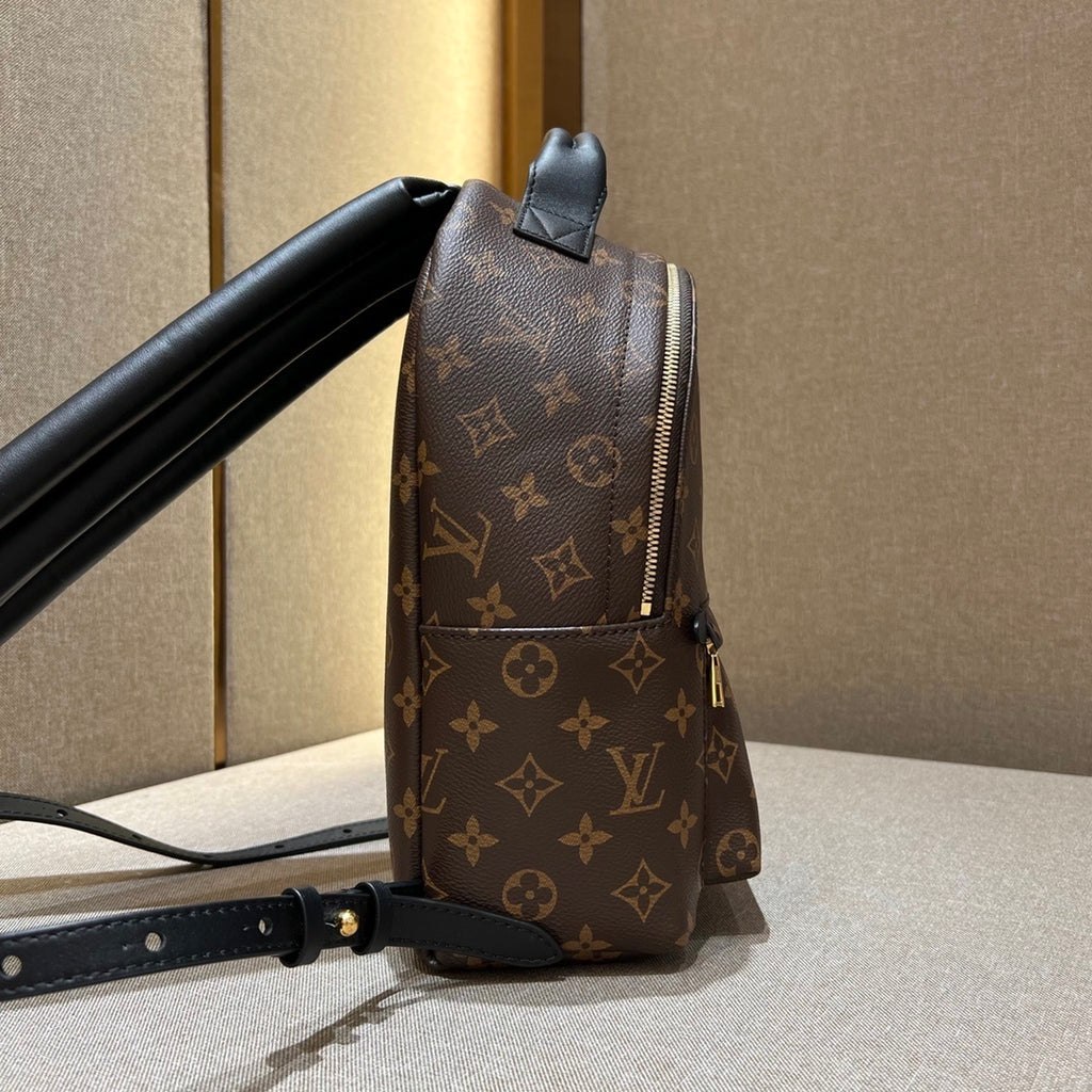 Louis Vuitton Palm Springs Small Backpack