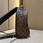 Louis Vuitton Palm Springs Small Backpack