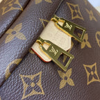 Louis Vuitton Bumbag / Waist Bag