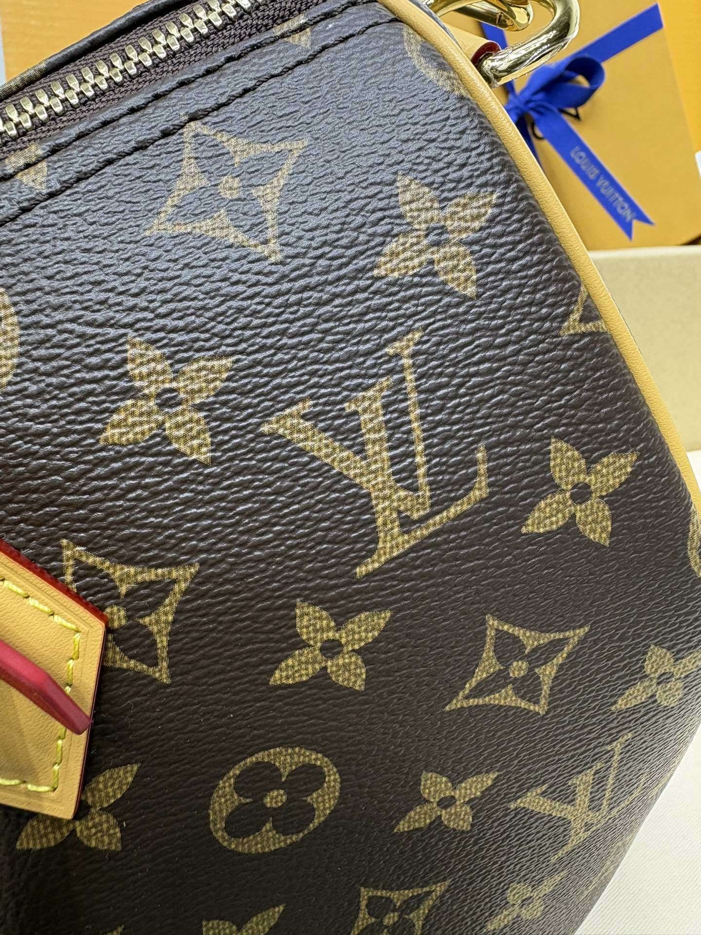 Louis Vuitton Speedy Soft 30 Crafty