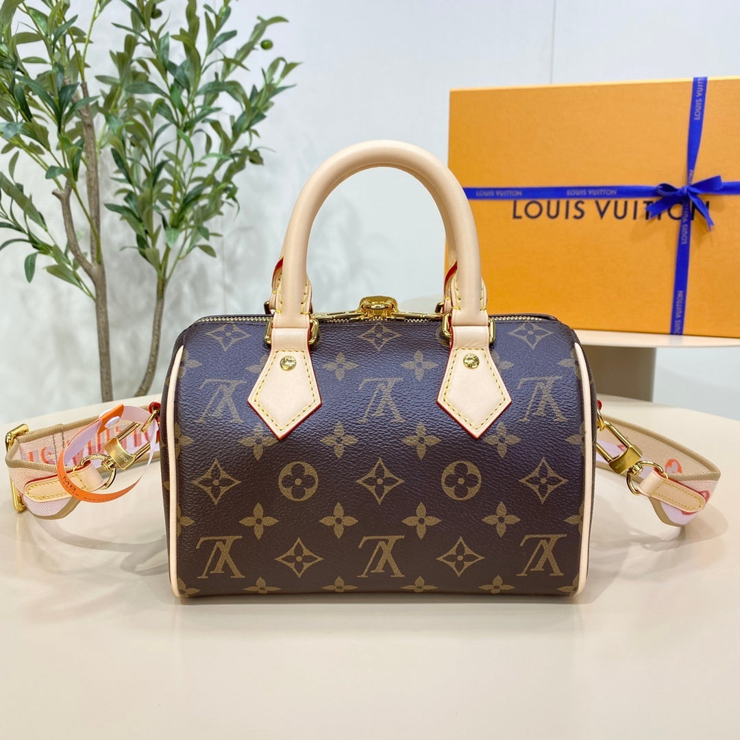 Louis Vuitton Speedy 20 Handbag