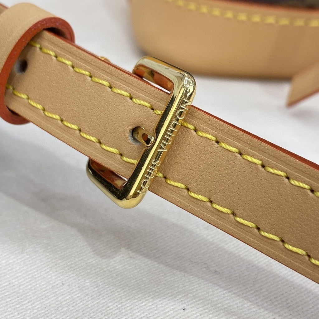 Louis Vuitton Mini Monogram Handbag