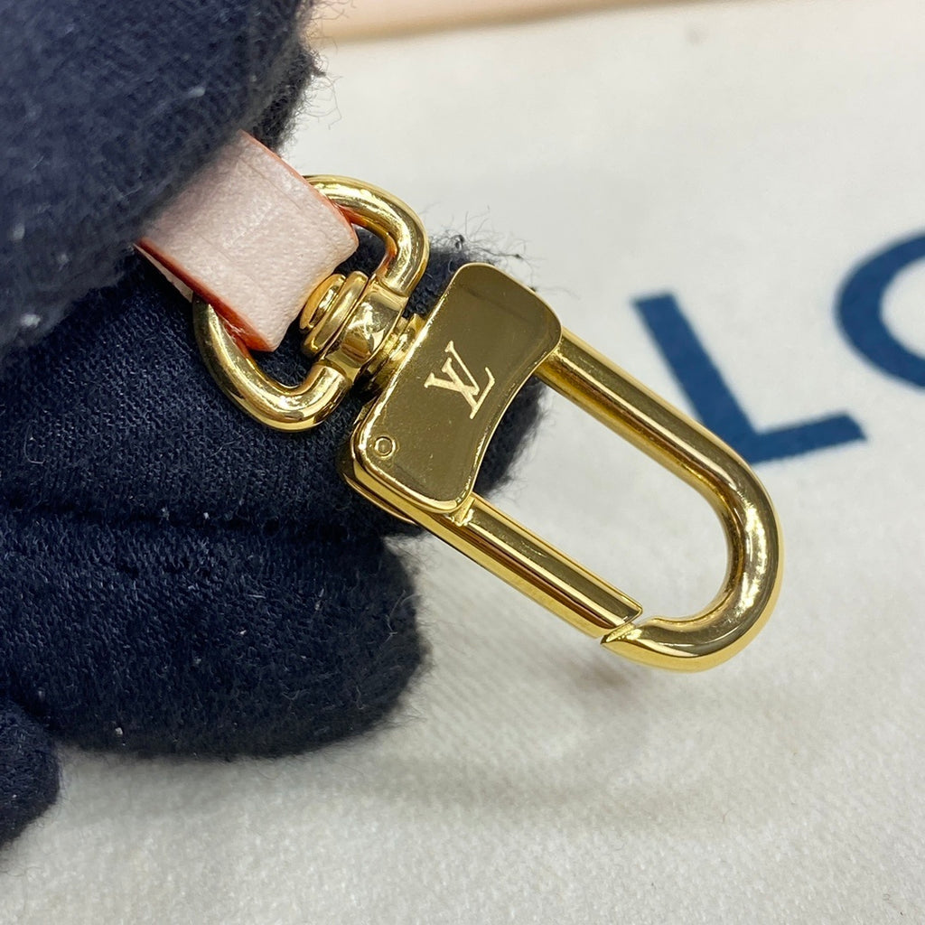 Louis Vuitton CarryAll PM Nautical Collection