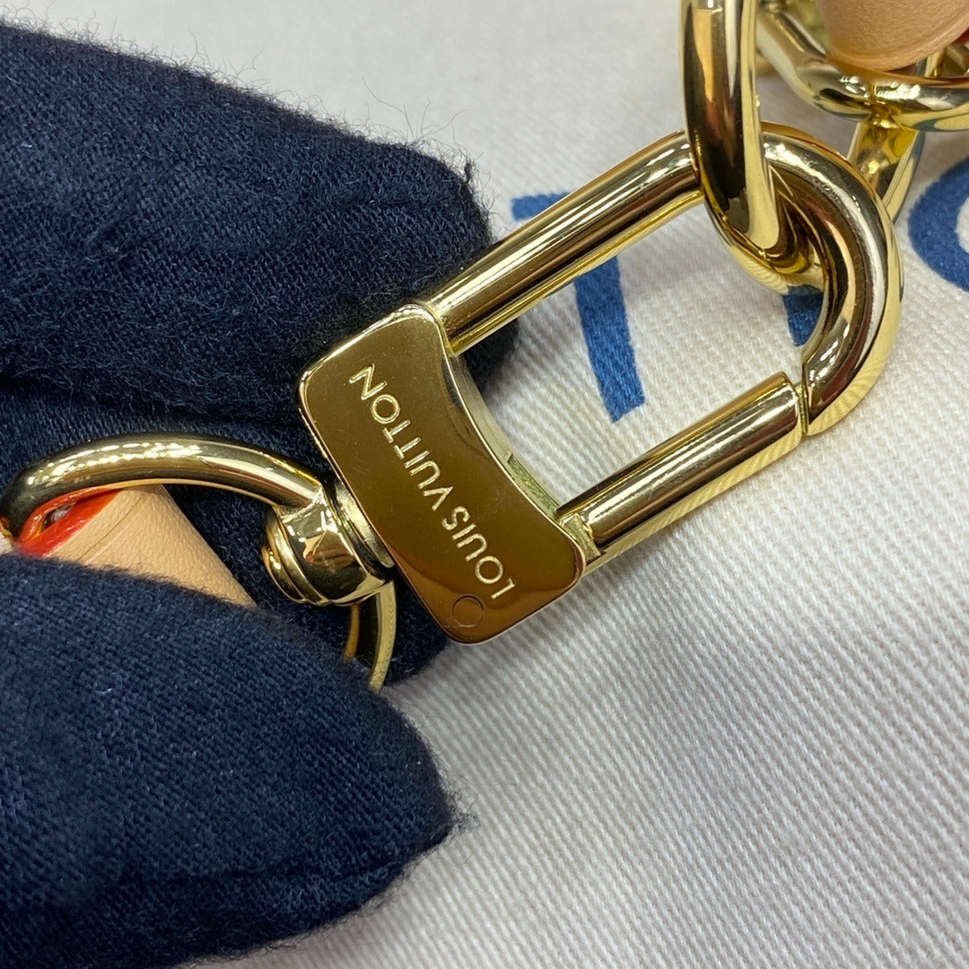 Louis Vuitton Loop Handbag