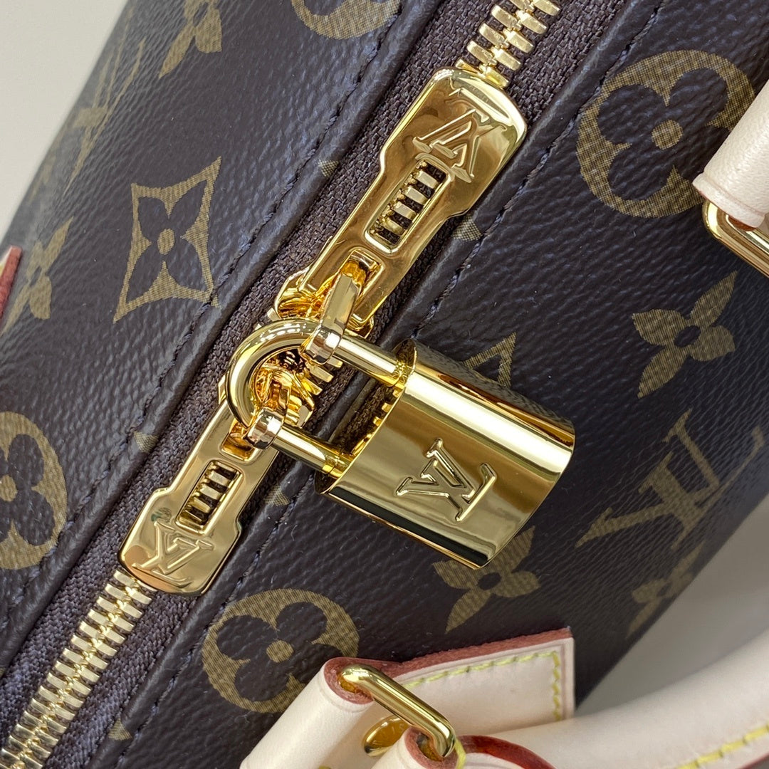 Louis Vuitton Speedy 20 Handbag