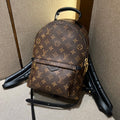 Louis Vuitton Palm Springs Small Backpack
