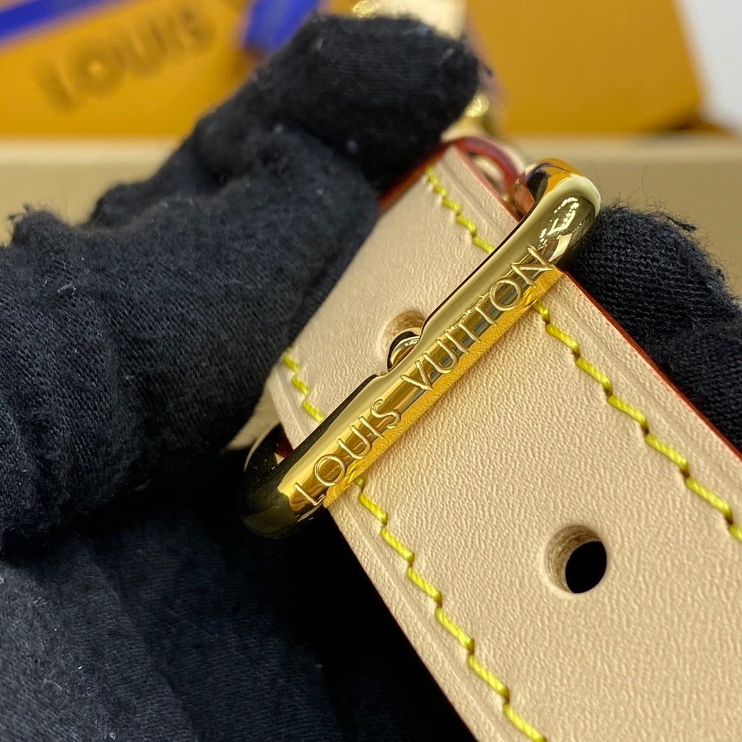 Louis Vuitton Bumbag / Waist Bag