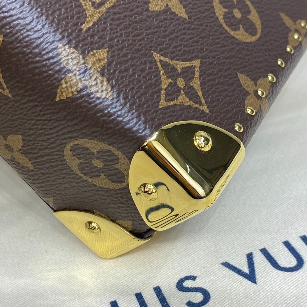 Louis Vuitton Camera Box Handbag