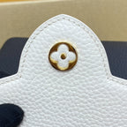 Louis Vuitton Capucines Mini Handbag