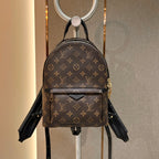Louis Vuitton Palm Springs Small Backpack