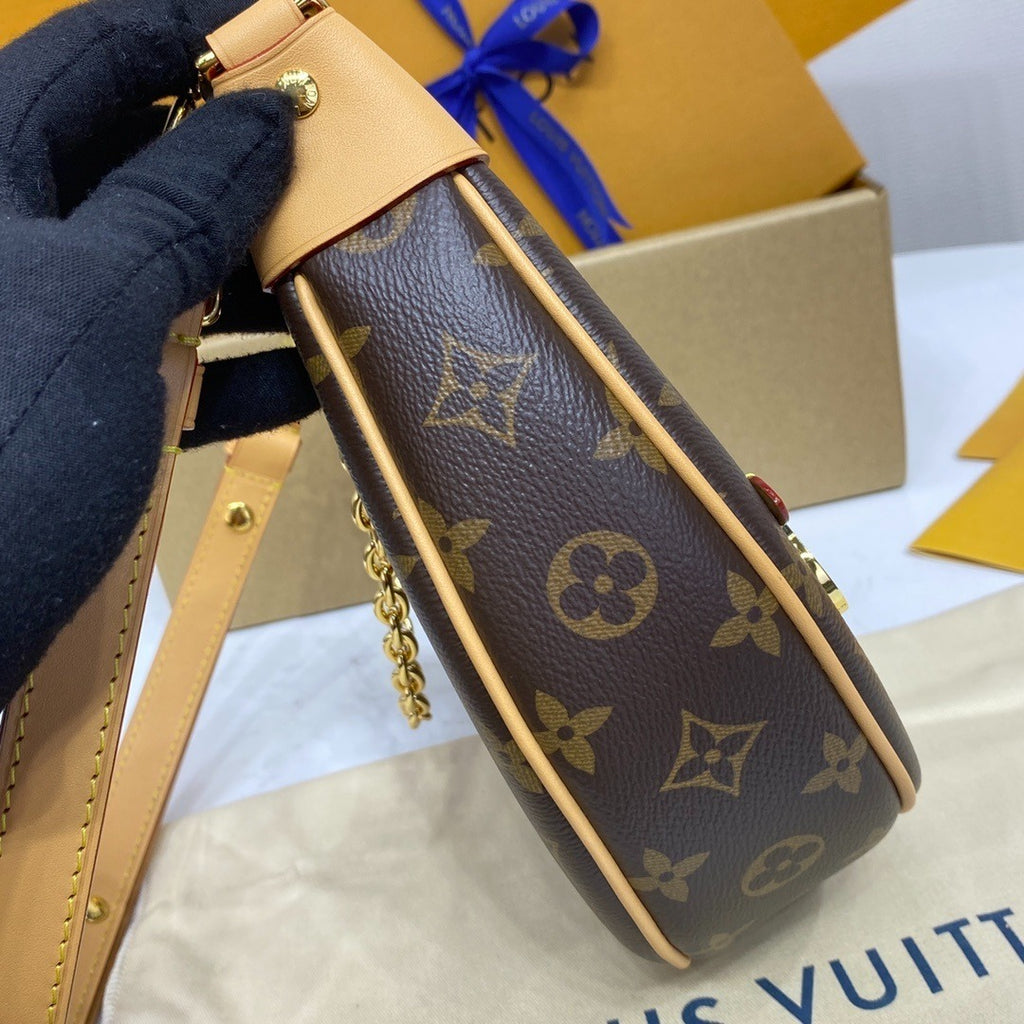 Louis Vuitton Loop Handbag