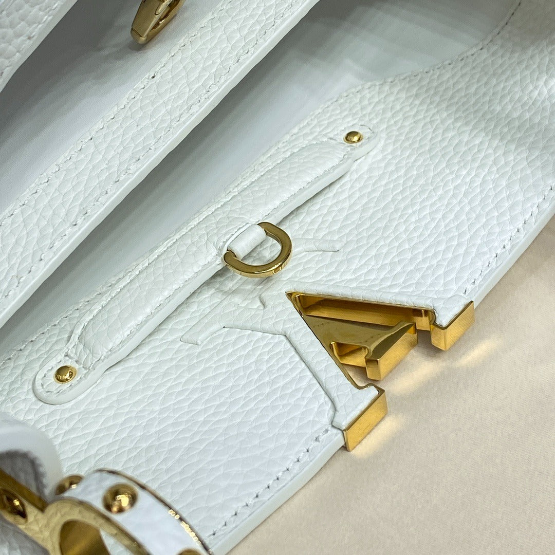 Louis Vuitton Capucines Handbag Medium