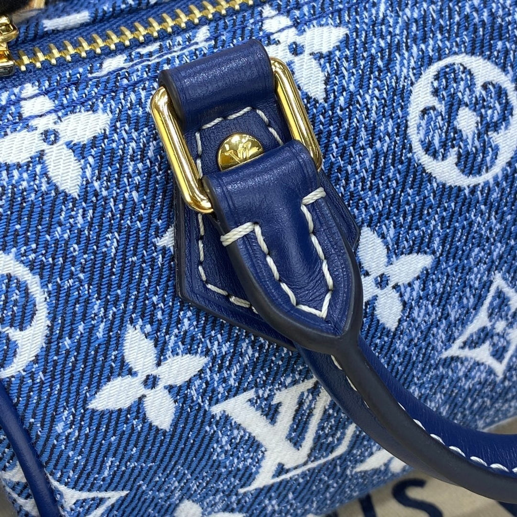 Louis Vuitton Speedy Since Jacquard Handbag