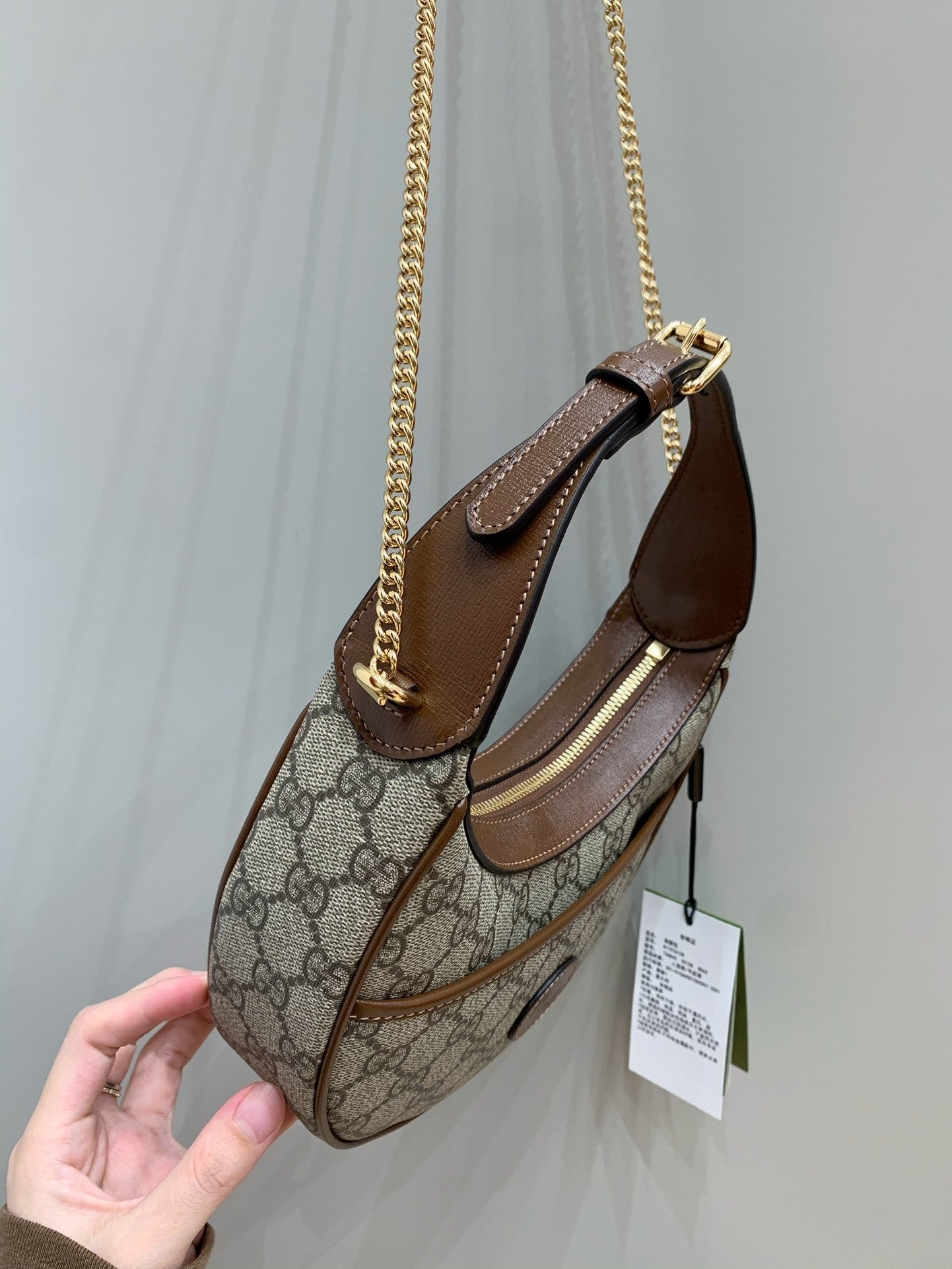 Gucci Ophidia Crescent Bag