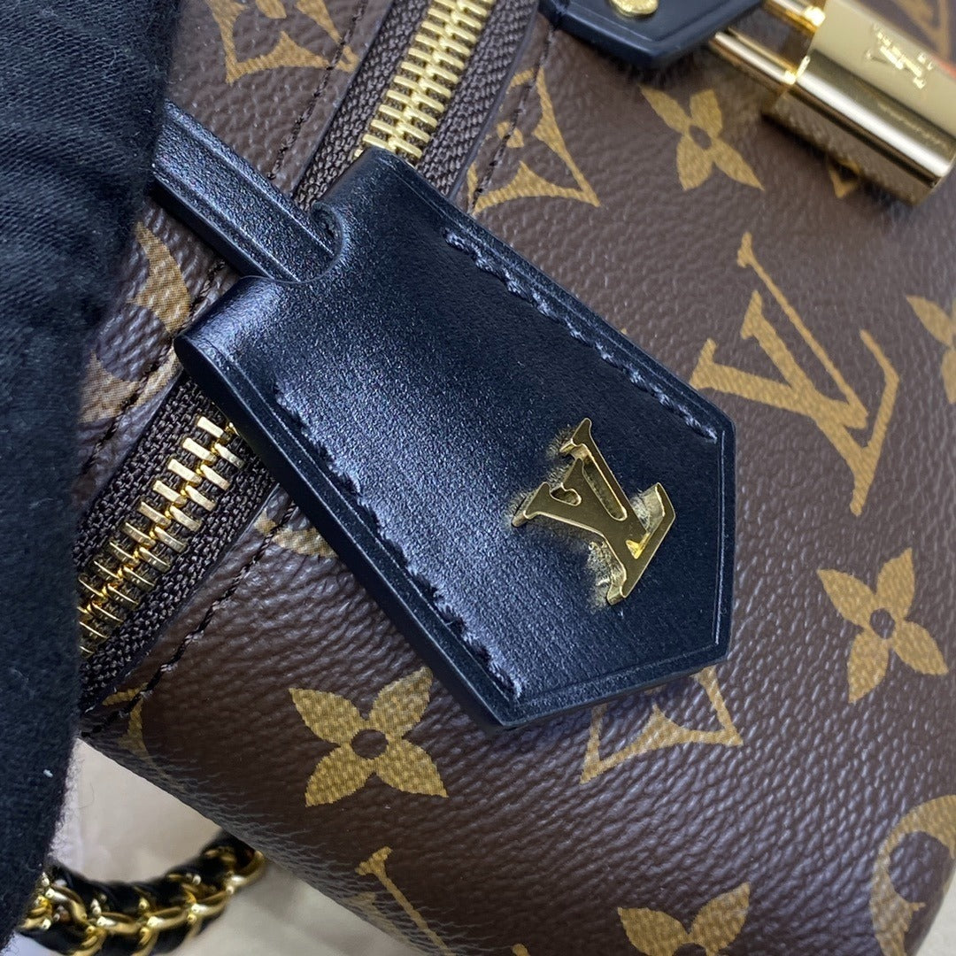Louis Vuitton Vanity Chain Pouch Handbag