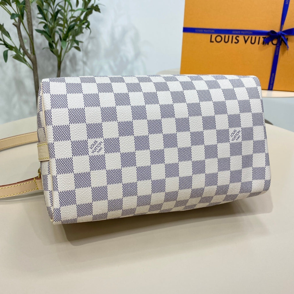 Louis Vuitton Speedy 25 Handbag